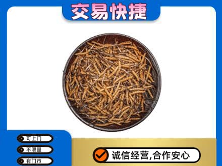 周口回收散虫草