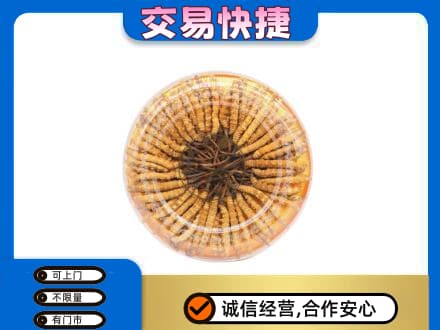 周口回收虫草礼盒